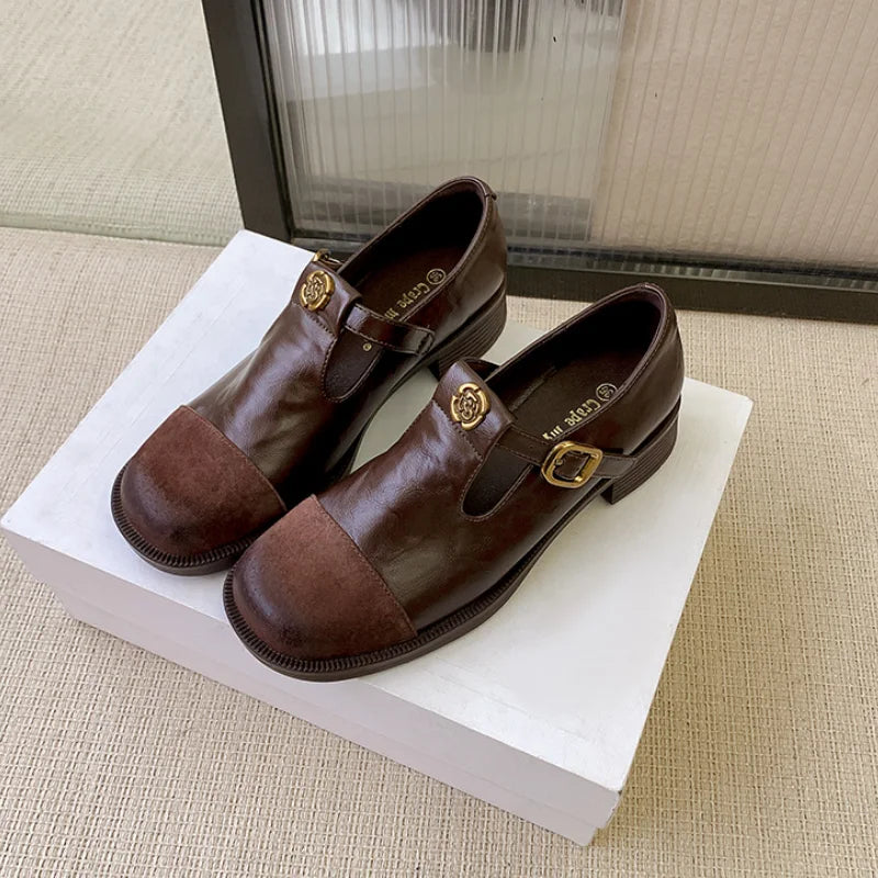 LBSFY  -  Designer Vintage Slip On Mary Jane Shoes Women Fashion Loafer Thick Heel 2025 Spring Casual Classic Office Female Shoes
