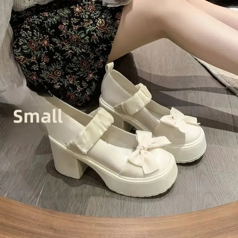 LBSFY -Japanese Style Thick Heel Mary Janes Women's Shoes Spring Summer New Versatile Little Fragrance Style French High Heels Small Le