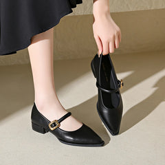 LBSFY  -  2024 New French Pointed Single Shoes for Women's Dress, Elegance, One line with Thick Heels, Commuter Single Shoes