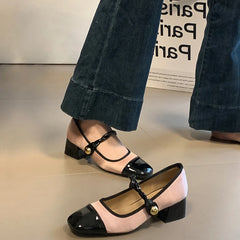 LBSFY  -  Vintage Square Toe Women Mary Jane Shoes Fashion Elegant Shallow Thick Heel Single Shoes Ladies Casual Outdoor Dress Pumps