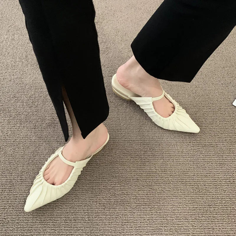 LBSFY  -  Spring Women Sandal Brown Shoes Pointed Toe Ankle Strap Thin Low Heel Pumps Shoes Fashion Pleated Shallow Elegant Mules