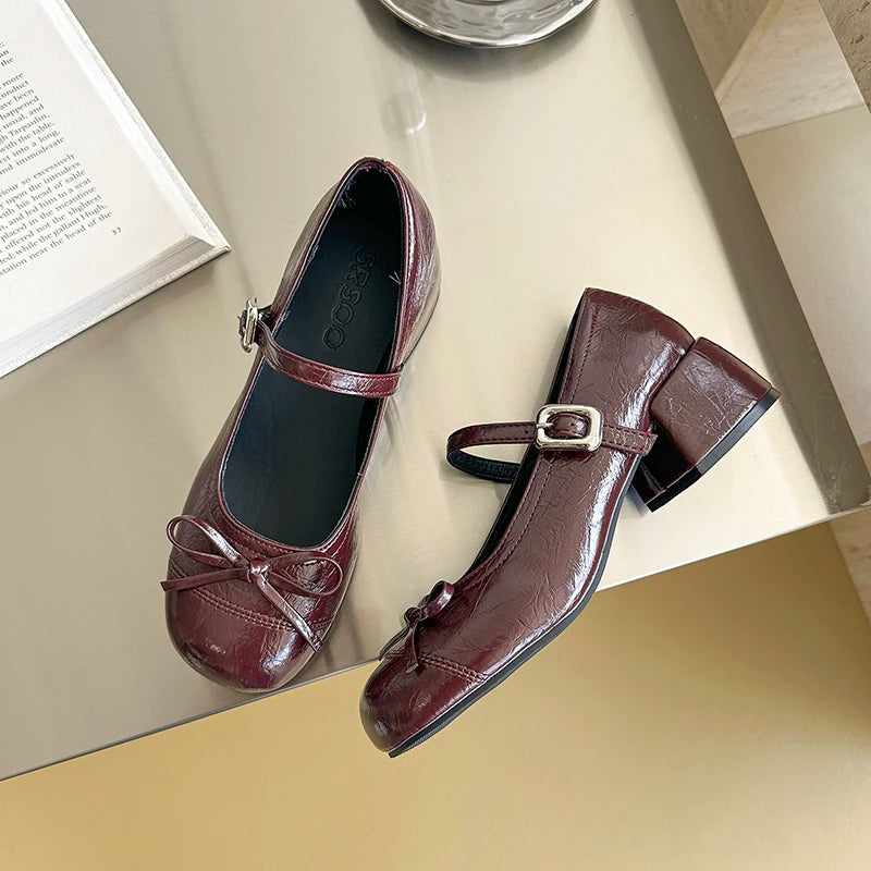 LBSFY -Ballet Style Butterfly-knot Mary Jane Shoes for Women Concise Dress Thick Heel Ladies Footwear
