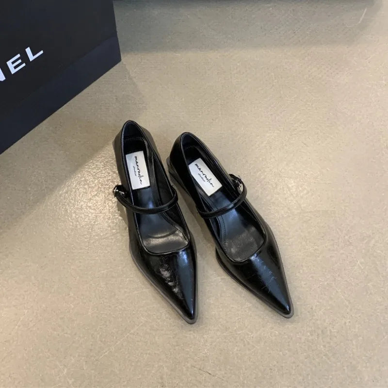 LBSFY -Retro Style Thick Heel Spring and Autumn Women Mary Jane Shoes Fashion Shallow Pointed Toe Ladies Comfort Office Pumps Footwear