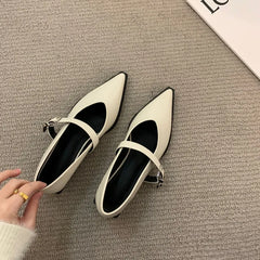 LBSFY -New Style Elegant Pointed Toe Women Heels Shoes Chunky Fashion Heeled Sandals Summer Party Pumps Dress Sandals Zapatos Mujer