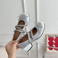 LBSFY -New Chunky Heels Lolita Pumps Shoes Women Mary Janes Shoes Spring Summer Autumn Fashion Comfy Women Dancing Shoes Pumps