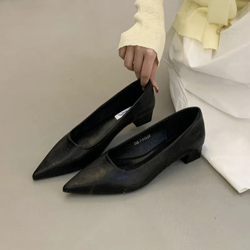 LBSFY  -Brand Women Flats Fashion Soft Casual Women Loafers Pointed Toe Shallow Slip On Elegant Ballerina Shoes Low Heels Dress