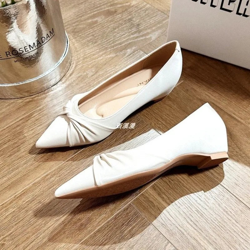 LBSFY -New Fashion Women Flats Pointed Shoes for Women Apricot Leather Casual Loafers Slip on Moccasins Large Size Flat Shoes for Women