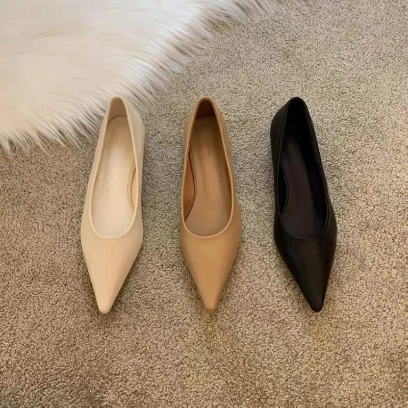 LBSFY -Women Low Heel Pumps Spring Autumn Pointed Shallow Mouth Soft Sole Single Shoe Ladies Work Shoes Female Solid Casual Heels Women