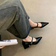 LBSFY -Retro Style Thick Heel Spring and Autumn Women Mary Jane Shoes Fashion Shallow Pointed Toe Ladies Comfort Office Pumps Footwear