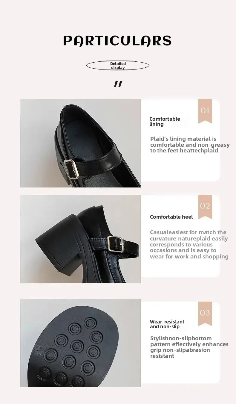 LBSFY -Brown Retro French Thick Heel Mary Janes Women's Shoes Spring 2025 New Style Heightening Flat Mouth High Heels Loafers Shoes