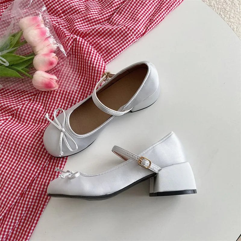 LBSFY -Simple and Gentle Fragrant Retro French Thick Heel Mary Jane Shoes Women's Autumn and Winter Versatile Single Shoes