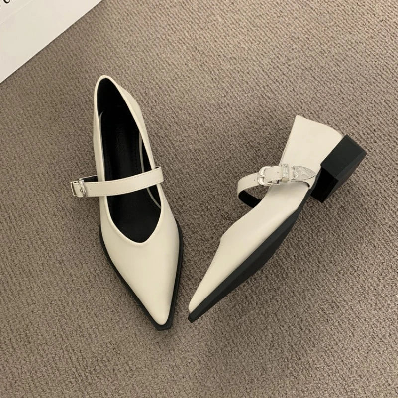LBSFY -New Style Elegant Pointed Toe Women Heels Shoes Chunky Fashion Heeled Sandals Summer Party Pumps Dress Sandals Zapatos Mujer