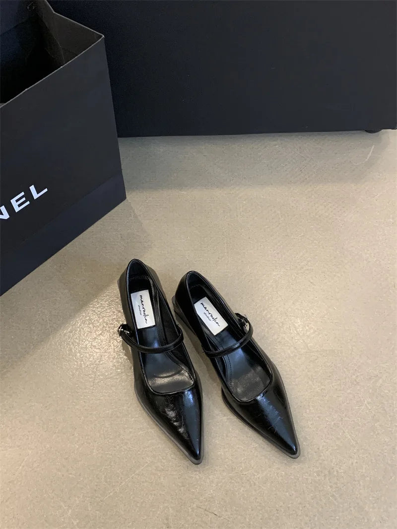 LBSFY -Retro Style Thick Heel Spring and Autumn Women Mary Jane Shoes Fashion Shallow Pointed Toe Ladies Comfort Office Pumps Footwear