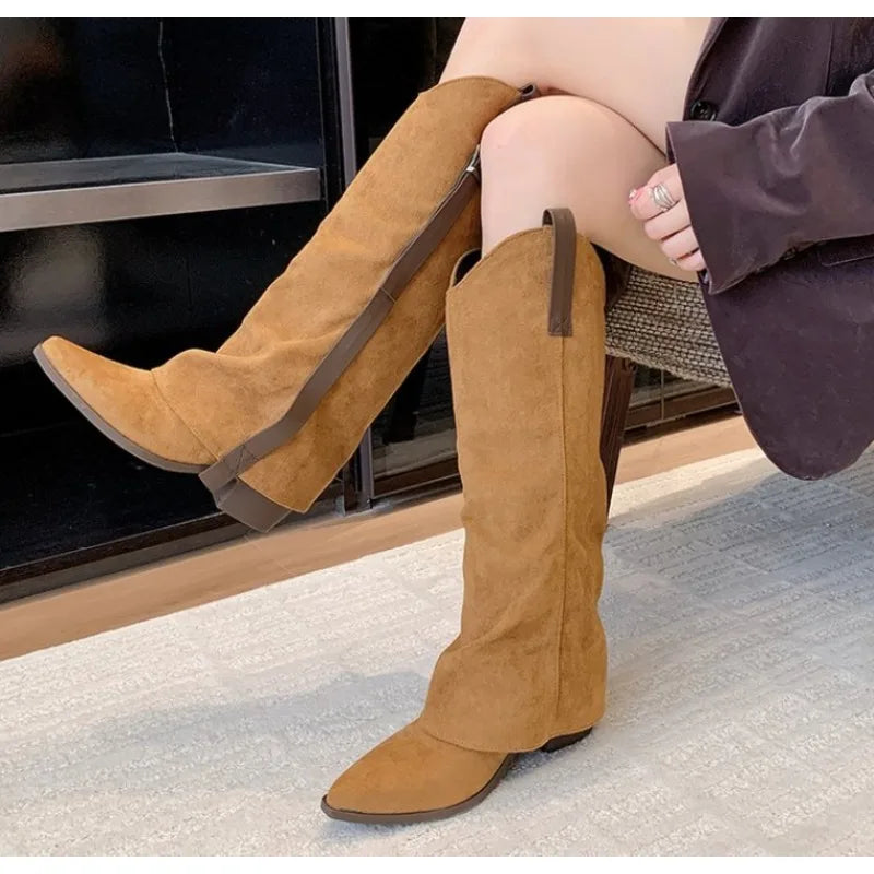 LBSFY -New Style Fashion Winter Street Style Pointed Toe Knee-High Boots Women Low Heels Shoes Female Long Booties Zapatos De Mujer