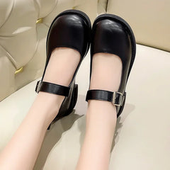 LBSFY -Women's Spring/Summer/Autumn New British Academy Style Low Heel Round Toe Mary Jane Single Shoes with Small Leather Shoes
