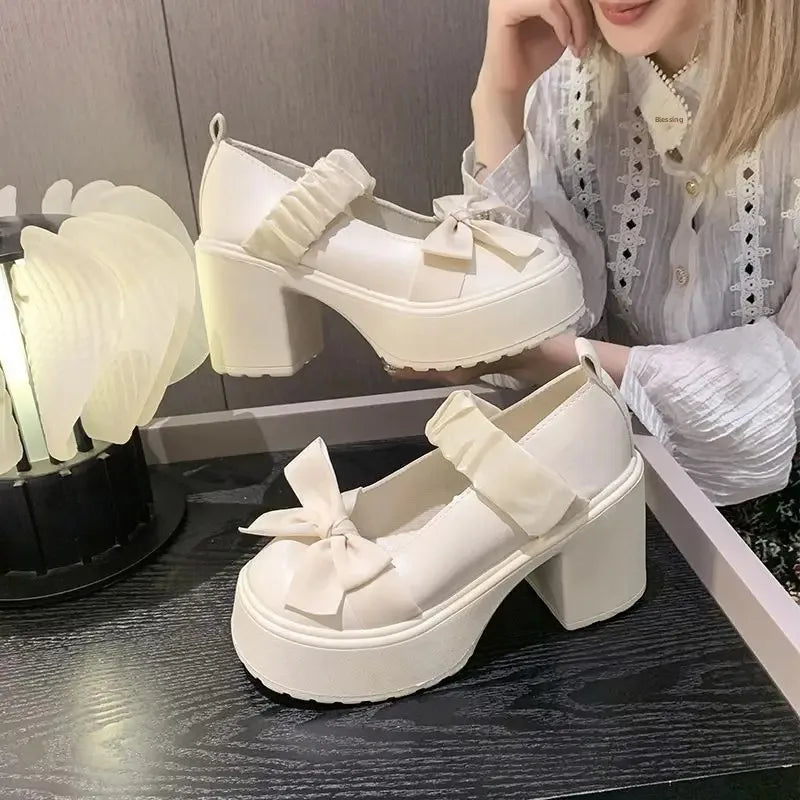 LBSFY -Japanese Style Thick Heel Mary Janes Women's Shoes Spring Summer New Versatile Little Fragrance Style French High Heels Small Le