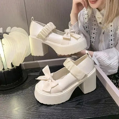LBSFY -Japanese Style Thick Heel Mary Janes Women's Shoes Spring Summer New Versatile Little Fragrance Style French High Heels Small Le
