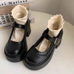 LBSFY -Brown Retro French Thick Heel Mary Janes Women's Shoes Spring 2025 New Style Heightening Flat Mouth High Heels Loafers Shoes