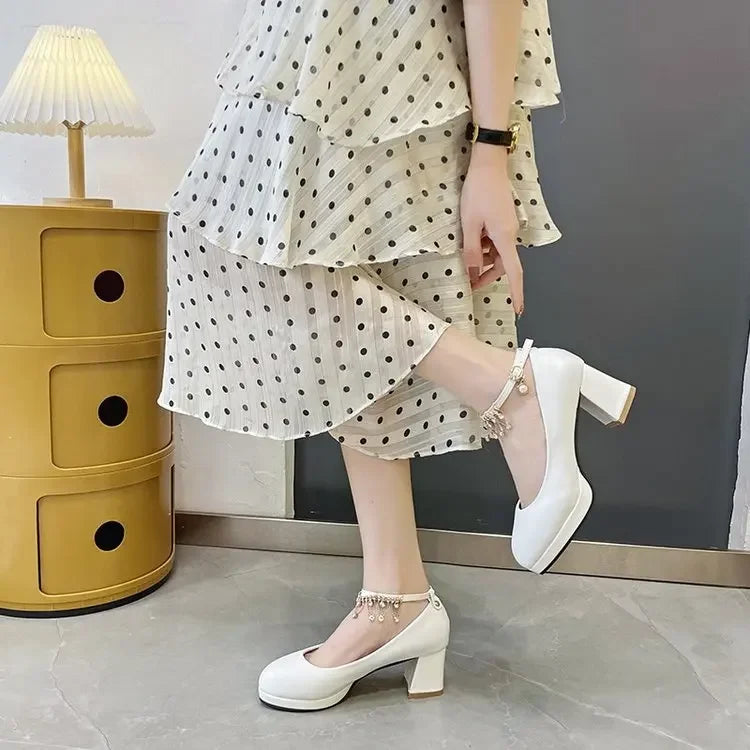 LBSFY -Women Elegant 6cm High Heels Lady Fashion Crystal Ankle Strap Thick Heeled Pumps Autumn 2024 Wedding Bridal Luxury Party Shoes