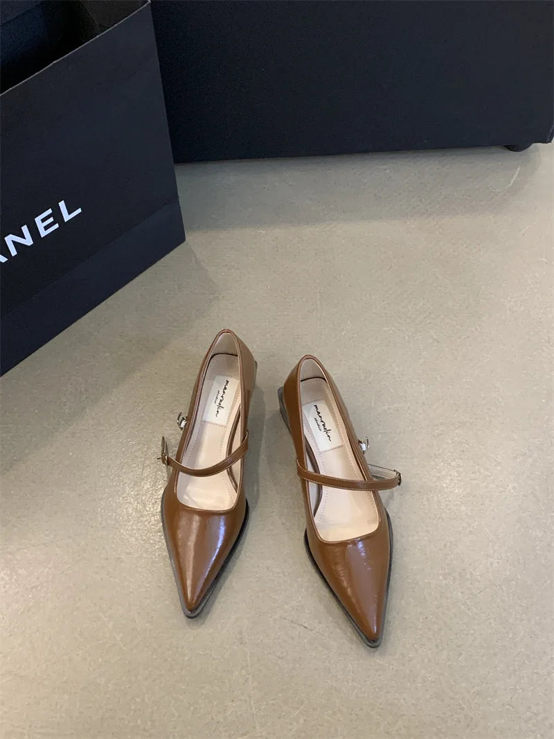 LBSFY -Retro Style Thick Heel Spring and Autumn Women Mary Jane Shoes Fashion Shallow Pointed Toe Ladies Comfort Office Pumps Footwear