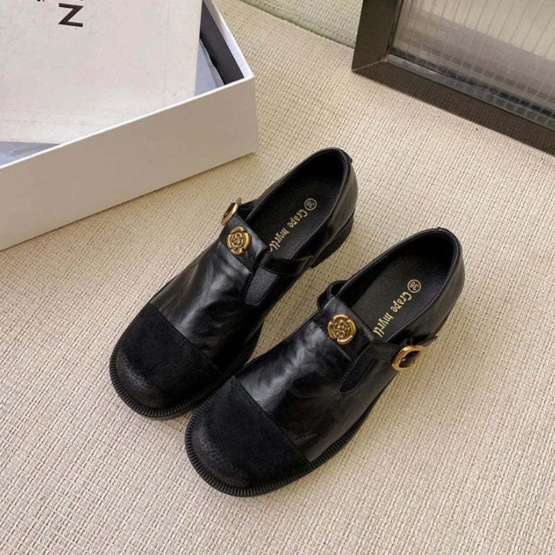 LBSFY  -  Designer Vintage Slip On Mary Jane Shoes Women Fashion Loafer Thick Heel 2025 Spring Casual Classic Office Female Shoes
