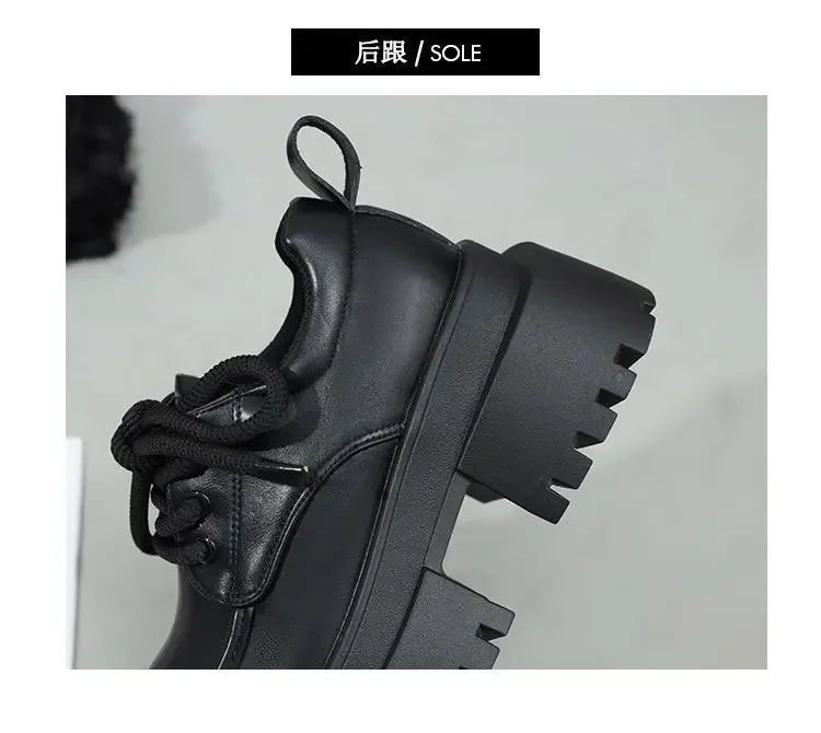 LBSFY -Women's 2025 New Japanese Style Mary Jane Shoes Black Brown Leather Thick Sole Round Toe Comfort Square Heel Lolita Girl's Shoes