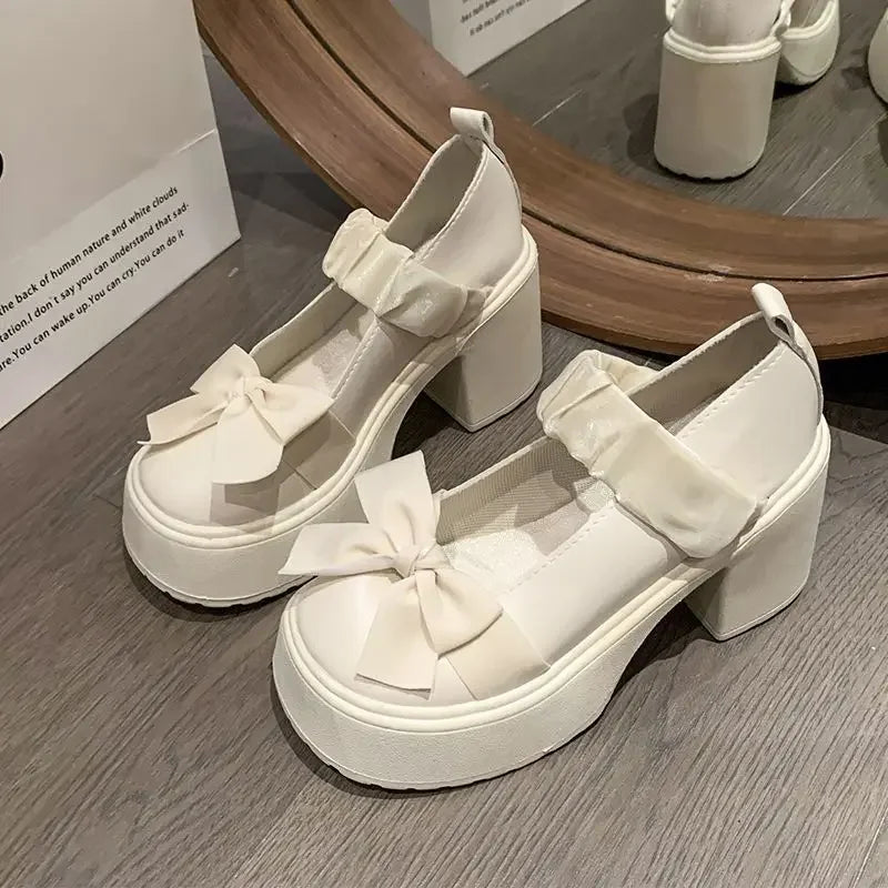 LBSFY -Japanese Style Thick Heel Mary Janes Women's Shoes Spring Summer New Versatile Little Fragrance Style French High Heels Small Le