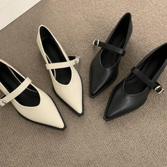 LBSFY -New Style Elegant Pointed Toe Women Heels Shoes Chunky Fashion Heeled Sandals Summer Party Pumps Dress Sandals Zapatos Mujer
