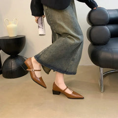 LBSFY -Retro Style Thick Heel Spring and Autumn Women Mary Jane Shoes Fashion Shallow Pointed Toe Ladies Comfort Office Pumps Footwear