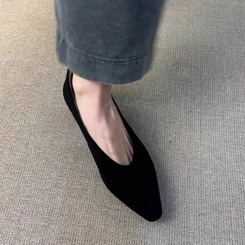 LBSFY -Vintage Pointed Toe Women Granny Shoes Fashion Shallow Slip On Shoes Dancing Party Prom Ladies Pumps Shoes