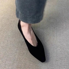 LBSFY -Vintage Pointed Toe Women Granny Shoes Fashion Shallow Slip On Shoes Dancing Party Prom Ladies Pumps Shoes