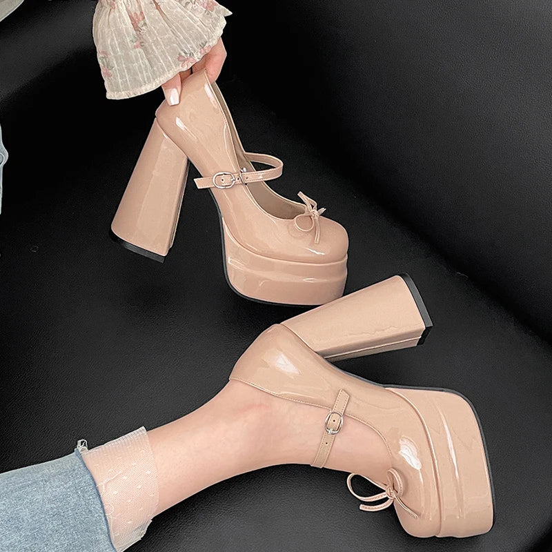 LBSFY -Autumn Platform Thick Heel Women Mary Jane Shoes Fashion Butterfly-knot Shoes Ladies Outdoor Dress Pumps