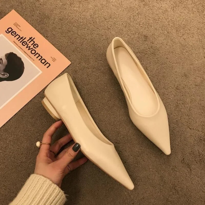 LBSFY -Women Low Heel Pumps Spring Autumn Pointed Shallow Mouth Soft Sole Single Shoe Ladies Work Shoes Female Solid Casual Heels Women