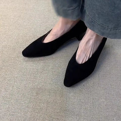LBSFY -Vintage Pointed Toe Women Granny Shoes Fashion Shallow Slip On Shoes Dancing Party Prom Ladies Pumps Shoes